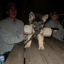 German Shepherd Puppies from Von Lindesfarne