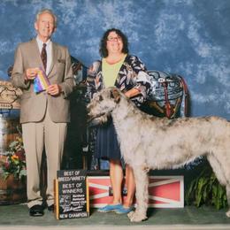 Tribble - Irish Wolfhound