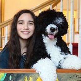 Summer - Portuguese Water Dog