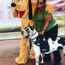Great Danes from Your Cuddly Companions