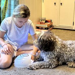 Australian Labradoodle All Grown Up from Heritage Manor Labradoodles (HML)