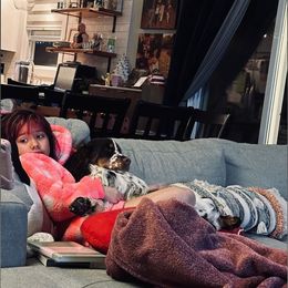 English Springer Spaniel Puppies from South Texas Springers