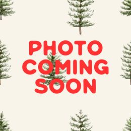 Orange collar male - Sable male Pembroke Welsh Corgi puppy in Mona, Utah from Sorensen Corgis