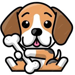 Boone - Black tan and white male Beagle puppy in Jerome, Missouri from Beam's Beagles