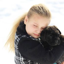 Bullmastiff Puppies from Amulet Bullmastiffs
