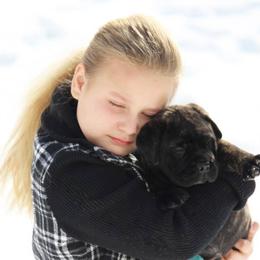 Bullmastiff Puppies from Amulet Bullmastiffs