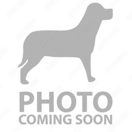 Pomeranian puppies from Lilmonster Pomeranians