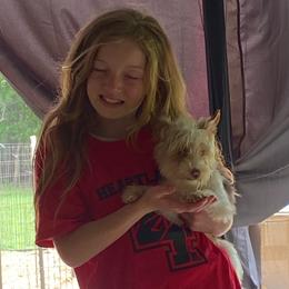 Chase AKC Full rights - Parti male Yorkshire Terrier puppy in Elizabethtown, Kentucky from Teeny Tiny Puppy Tails
