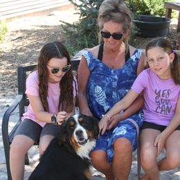 Bernedoodles and Bernese Mountain Dogs from Basin Berners