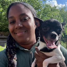 Pepper - Chihuahua