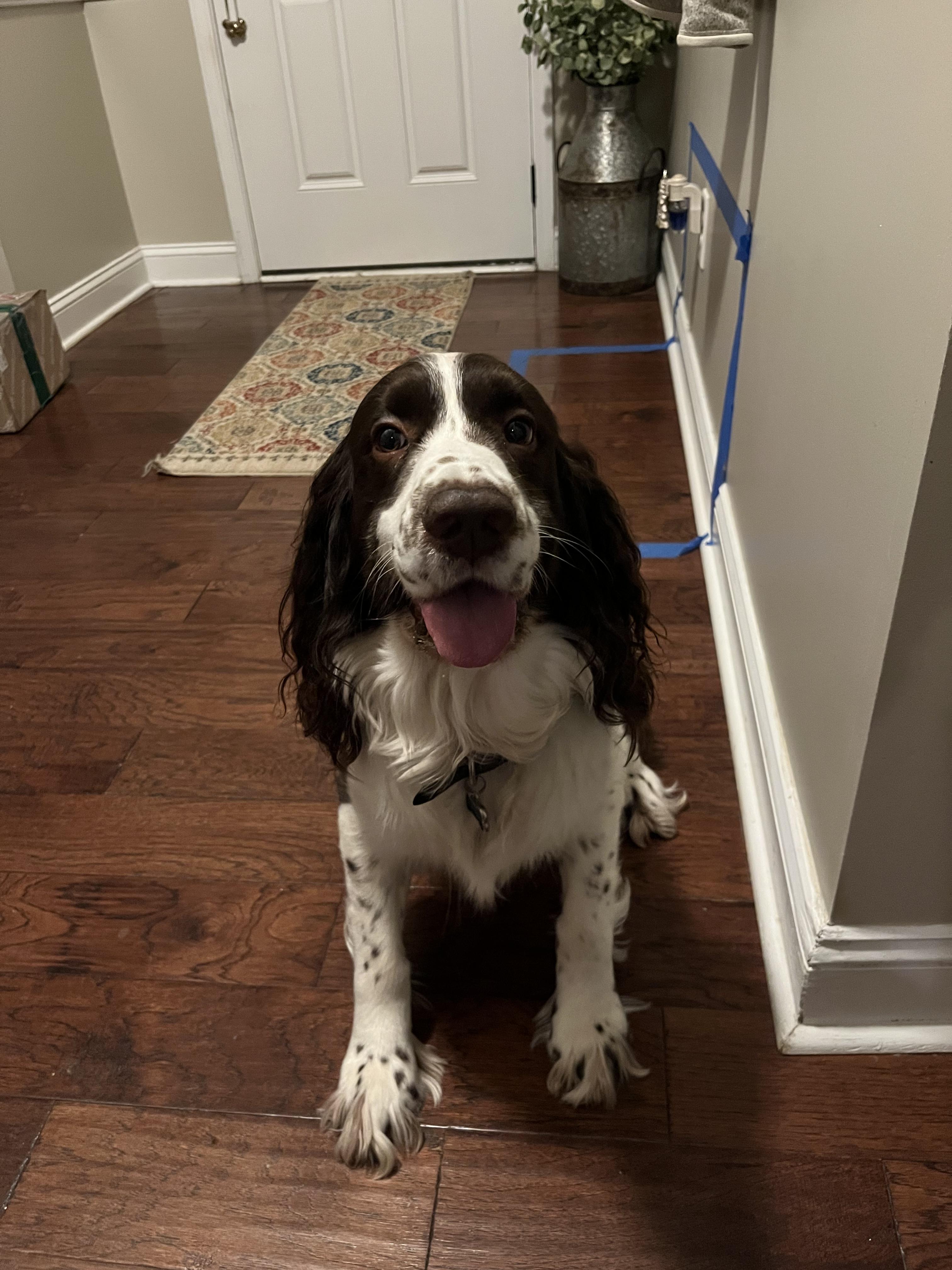 Axel
