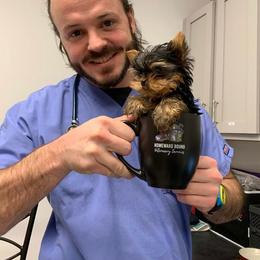 Yorkshire Terrier Puppies from Chikito's Yorkies