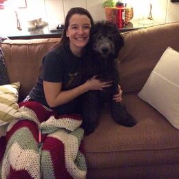 Goldendoodle All Grown Up from Simply Doodles LLC