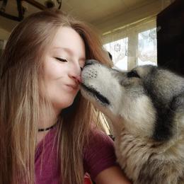 Siberian Husky Puppies from Breezy Valley Siberians