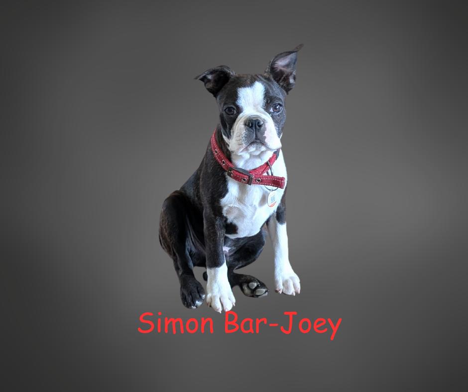 Simon