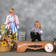 "Debbys Sergei Best Puppy 2022 RTBCA National Specialty" Russian Tsvetnaya Bolonka All Grown Up from Debby's Bolonkas