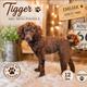 Tigger