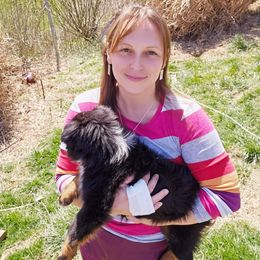 "Sage- Virginia" Australian Shepherd Puppies from Holly Ridge Aussies