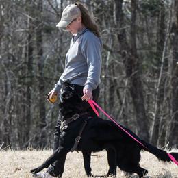 German Shepherds from Alisha Fitzpatrick