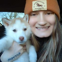 Siberian Husky Puppies from Feazell’s Siberian Huskies