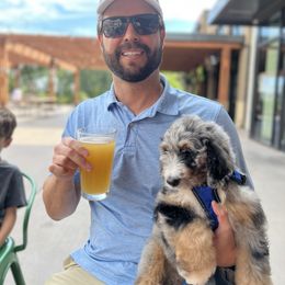 Joey DNA DNA results attached - Merle male Bernedoodle puppy in Wilkesboro, North Carolina from Bernedoodle Love Puppies