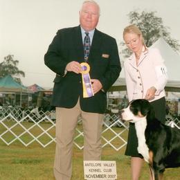 Greater Swiss Mountain Dogs from Park Place Swissys