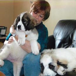 Pyrenean Mastiff Puppies from SaddleDog Farm
