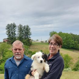 Australian Shepherd Puppies from Holly Ridge Aussies