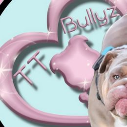 Bulldogs from TT Bullyz