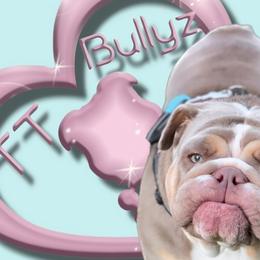 Bulldogs from TT Bullyz