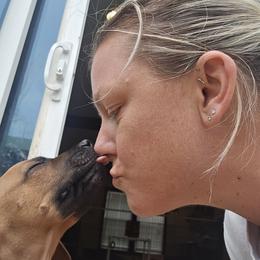 Rhodesian Ridgeback Puppies from Chilolo