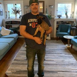 Belgian Malinois, Bull Terrier, and Dutch Shepherd Puppies from ROSC K9