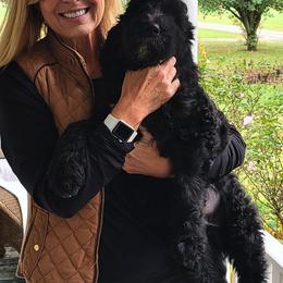 Goldendoodles and Labradoodles from Hickory Creek Doodles