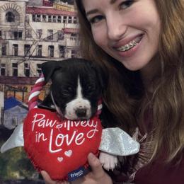 Turquoise blue collar - Black male American Staffordshire Terrier puppy in Cloverdale, Indiana from Woodshire American Staffordshire Terrier’s