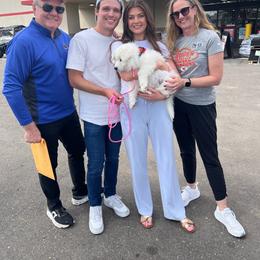 Female number one - White female Samoyed puppy in Spring City, Utah from White Rocks Samoyeds