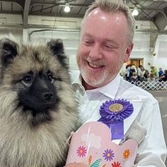 Elisheva - Keeshond