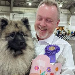 Elisheva - Keeshond