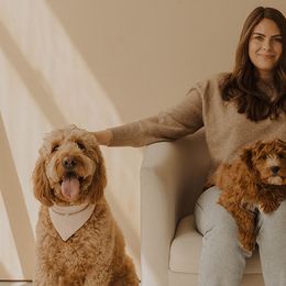 Goldendoodles from Diamond K Doodles