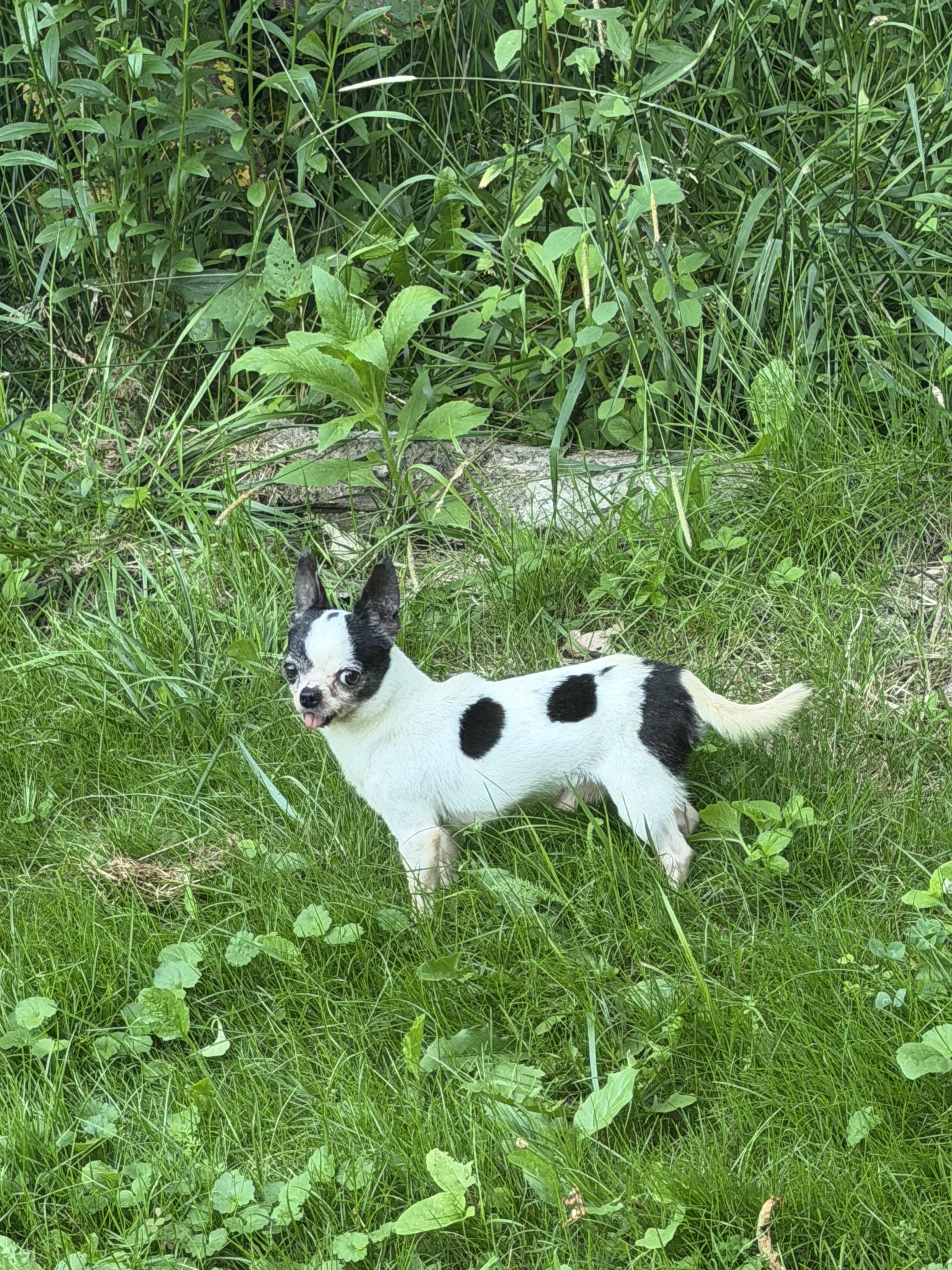 Benny