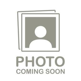 Mimi - Liver female Shih Tzu puppy in Shawnee, Oklahoma from Black Velvet Shih Tzu