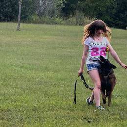Belgian Malinois All Grown Up from Chaland