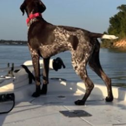 German Shorthaired Pointers from Faith Ranch