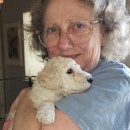 Poodle Puppies from Furball Forest Poodles