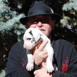 Great Dane Puppies from ROSE GREAT DANES