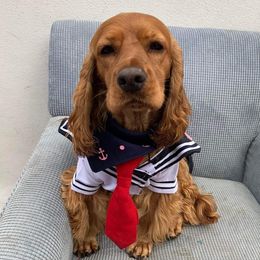 Lucky - Cocker Spaniel