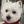 Unnamed
