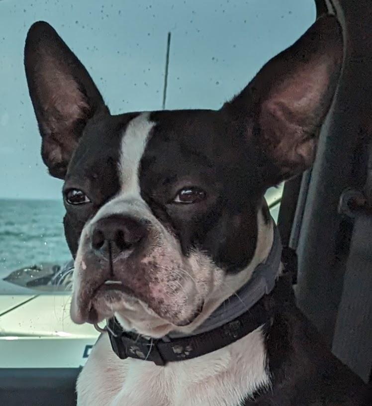 JR
