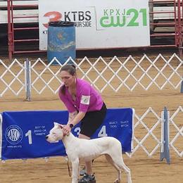 Dogo Argentino Puppies from Diavol Dogos /DoubleD Creek Ranch