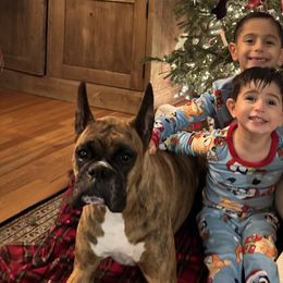 Boxers from Hegerox