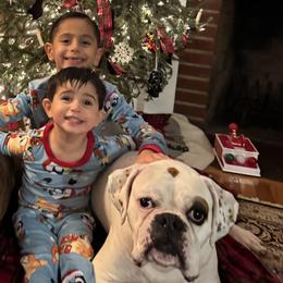 Boxers from Hegerox